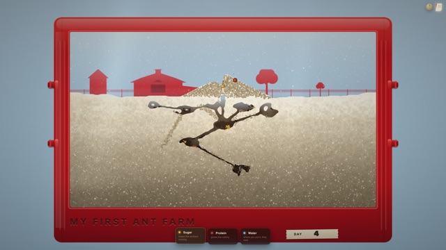 The whole tank on day four: a red plastic ant farm, a young nest branching through the sand, and the heap of grains the ants have carried out beside the door